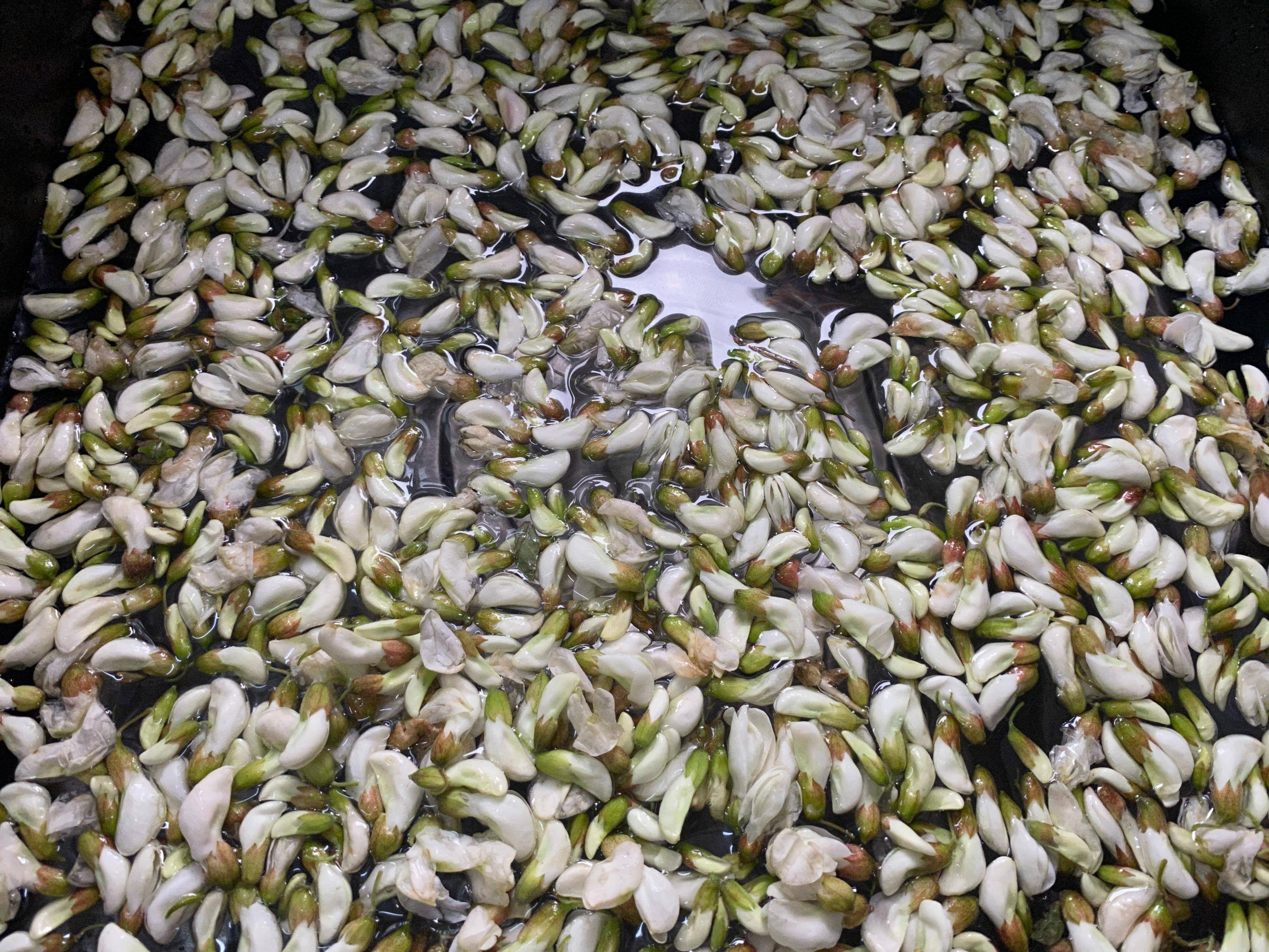 买了2斤槐花吃不完商家教我保存方法一年不坏到冬天还能吃