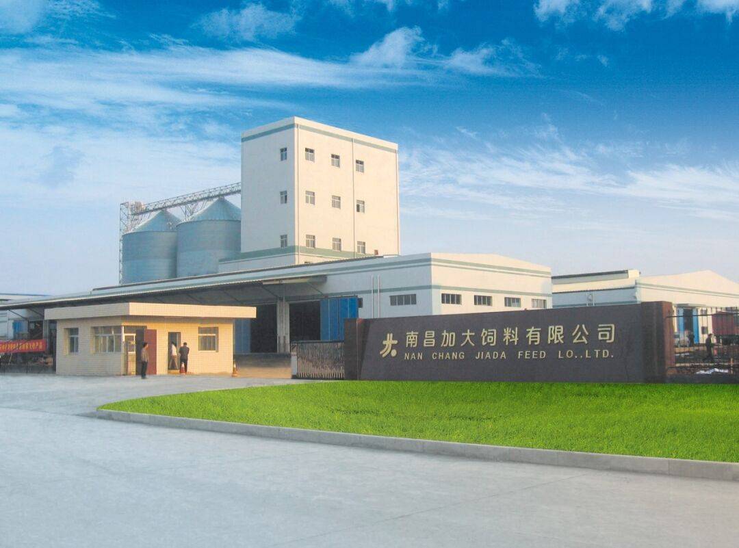 农村建一饲料厂需要多少钱(在农村开个小型饲料加工厂怎么样)