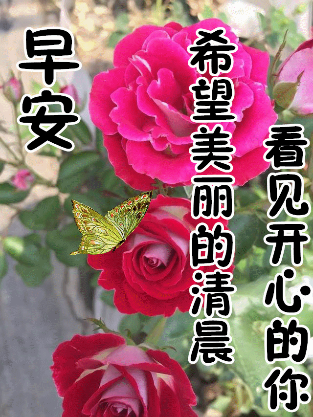 674月15日最漂亮早上好动态表情图片及早晨好动图美图大全守骏如跛