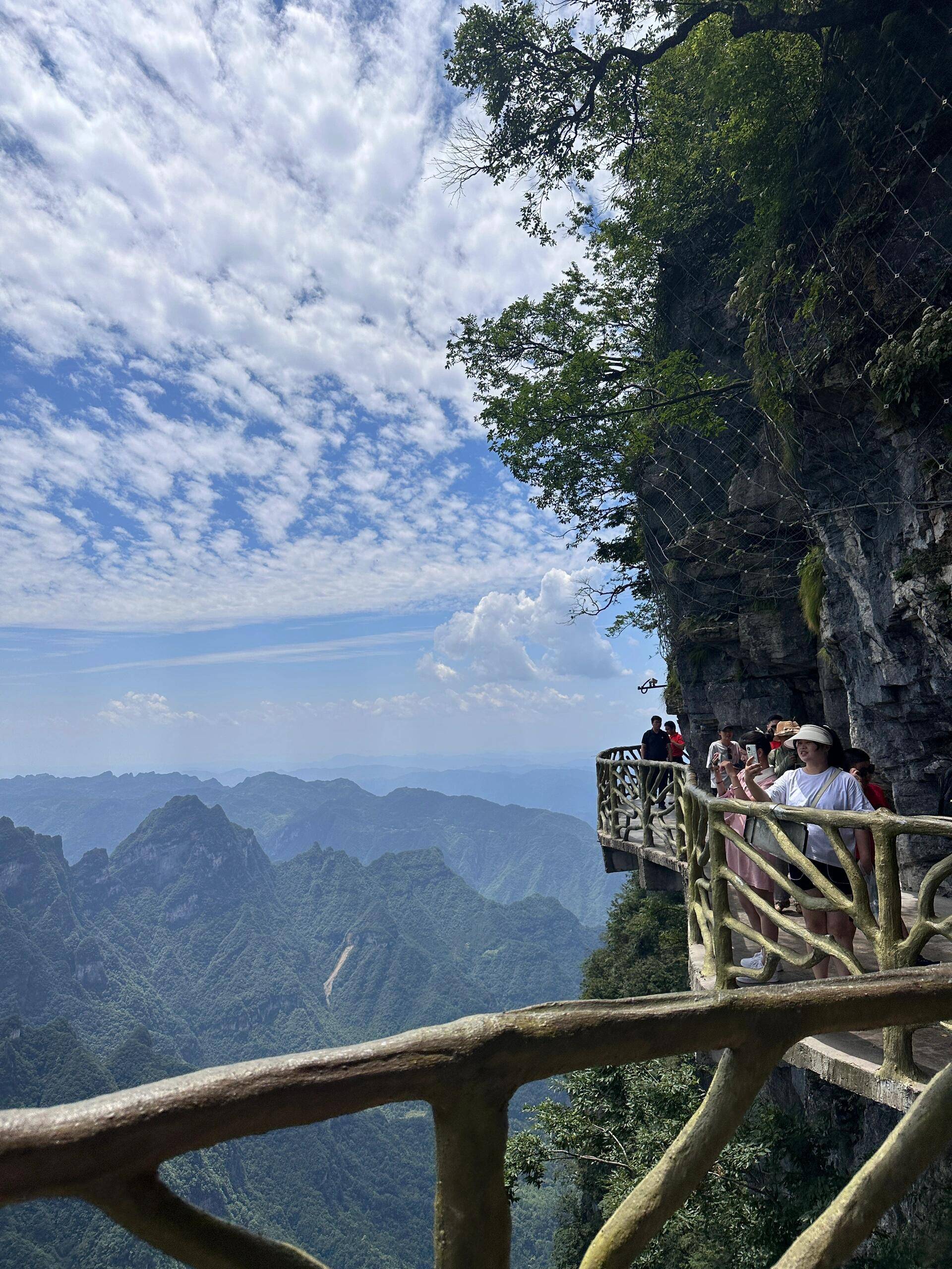 去张家界旅游主要景点攻略图保姆级攻略大全丨建议收藏备用