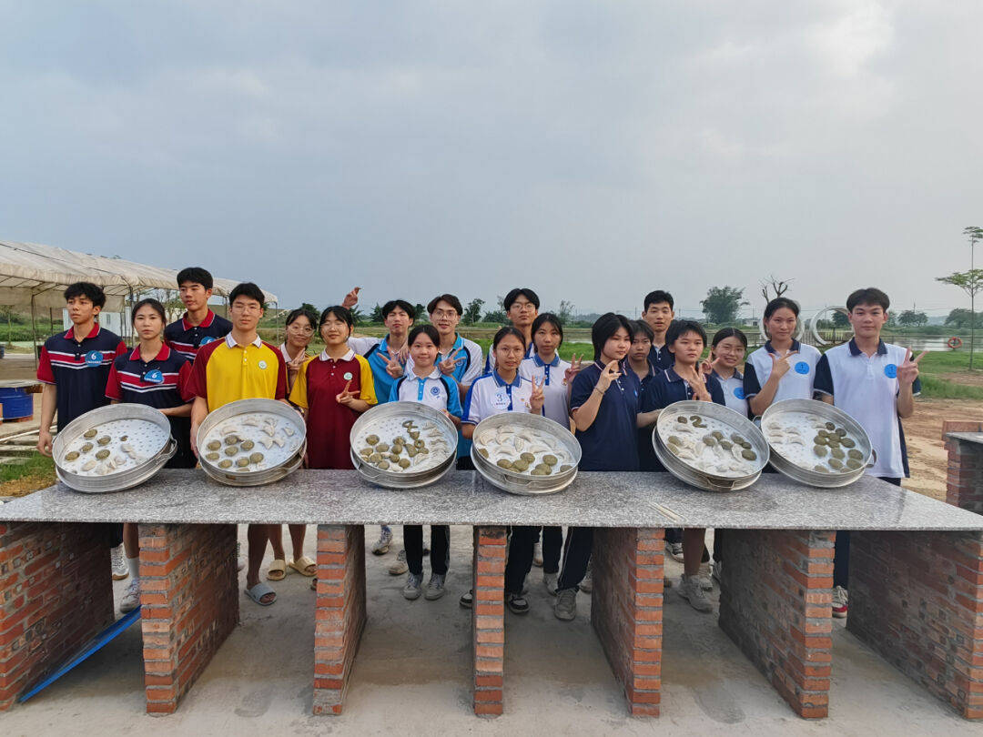 省内首次全学段中小学劳动技能比赛高明学子大秀身手