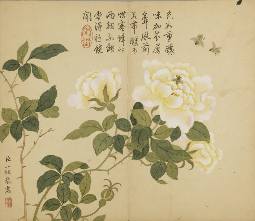 国画天地邹一桂花鸟草虫图册