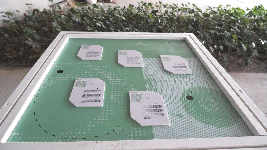 听觉去郊游,走进花花世界,周末看展去~丨"艺游"未尽_声音_展览_艺术