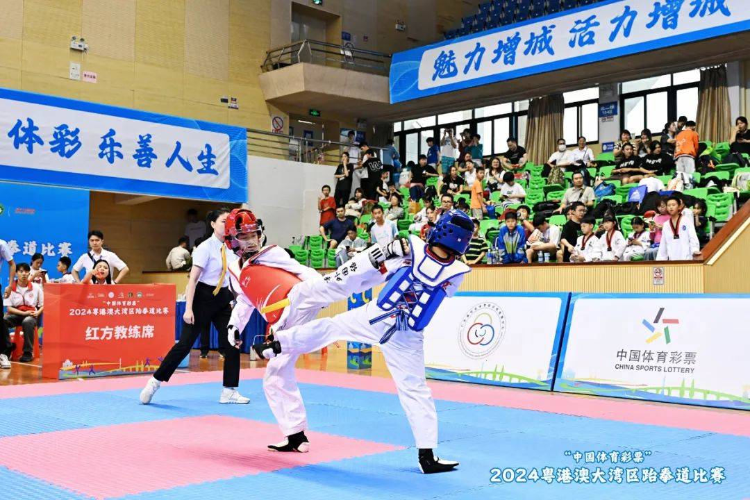近千名运动员同台竞技2024粤港澳大湾区跆拳道比赛举行