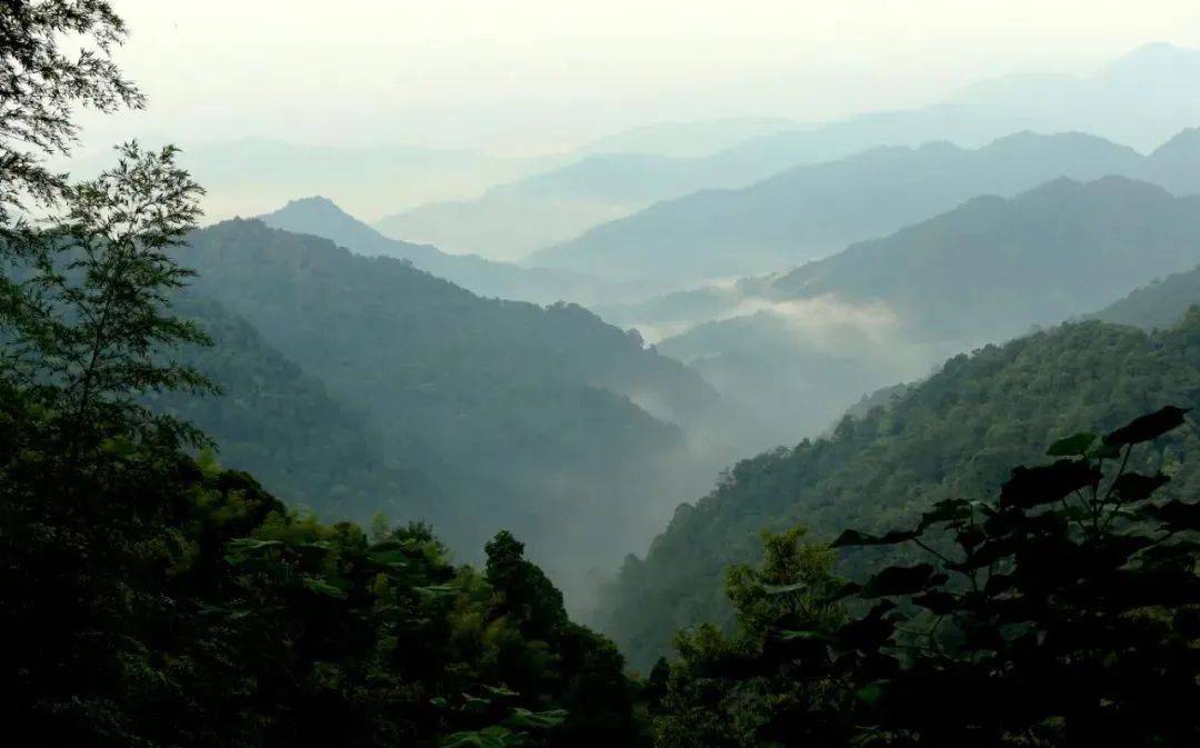 江西九岭山脉图片