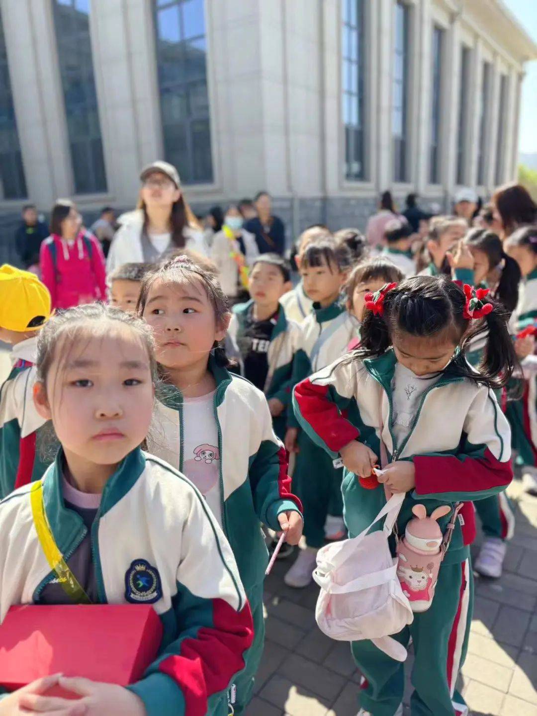 班级活动爱绿护绿共建生态家园济南育秀中学小学部2023级3班雏鹰活动