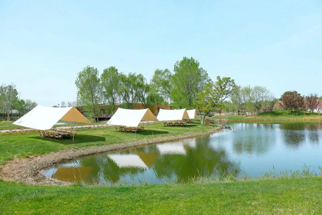 培育文明露营理念 倡导"无痕露营"风尚_烧烤_北京市_帐篷