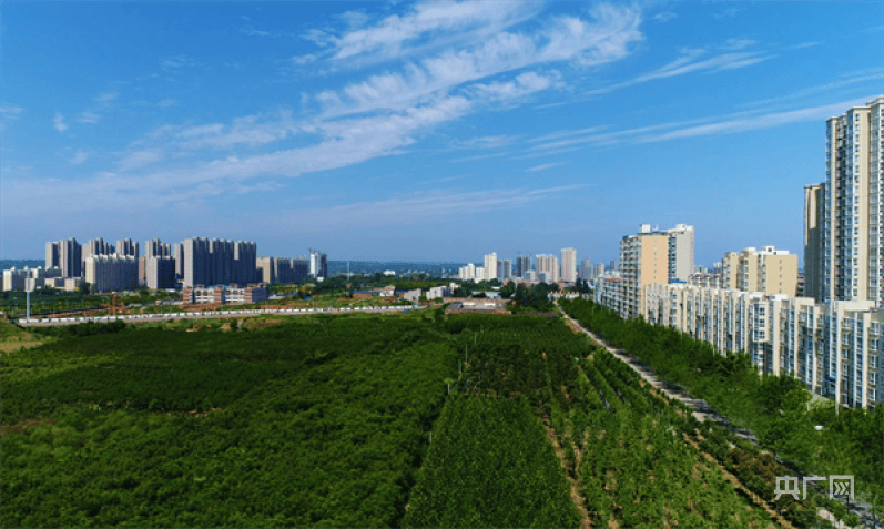 洛阳市孟津区以绿荫城让城市更宜居