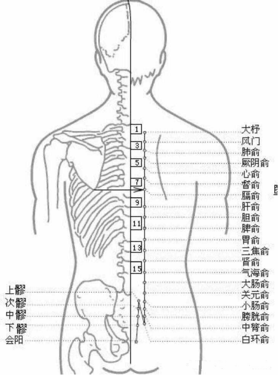 足太阳膀胱经腧穴名称由来