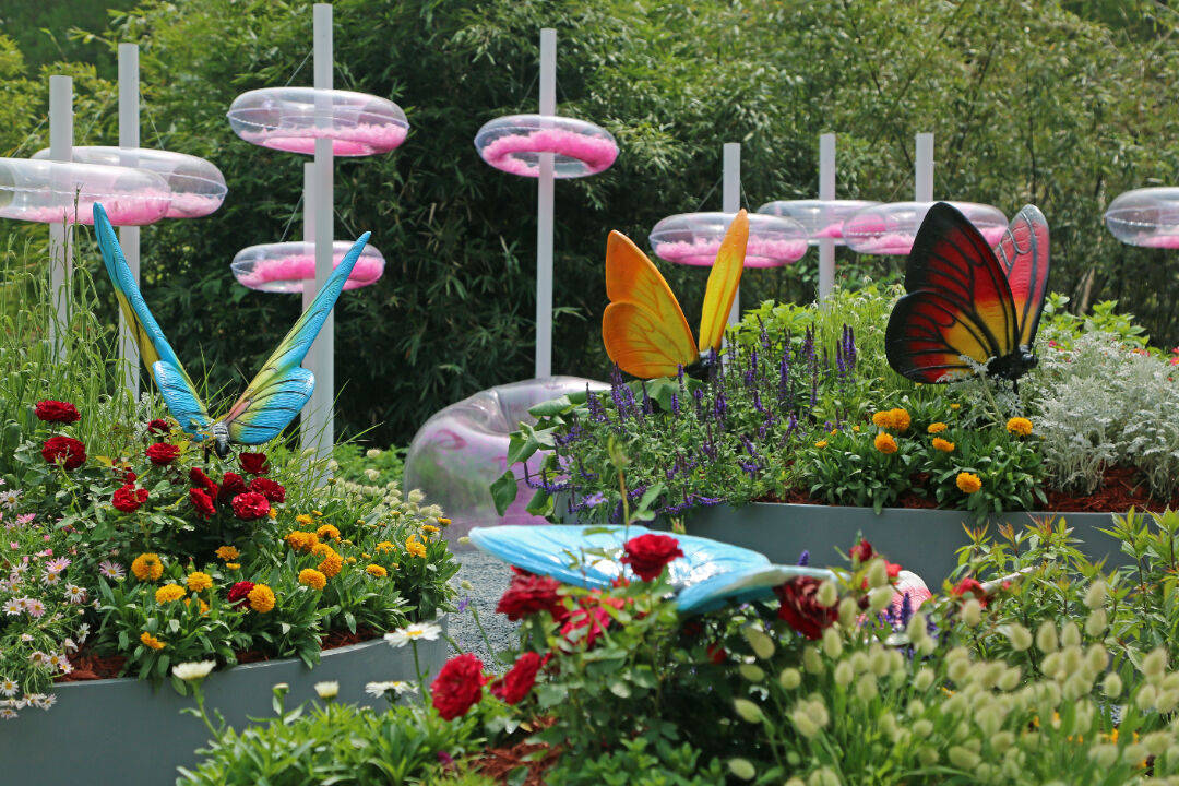 全城联动开放布展2024年上海国际花展4月18日绽放申城