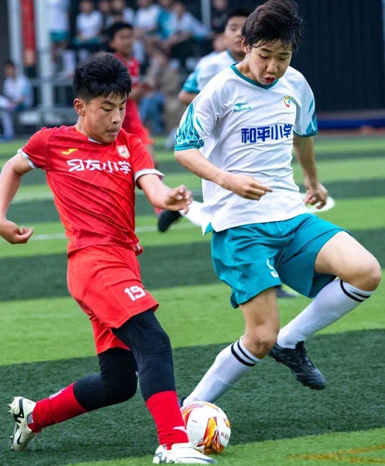 合肥足球少年挥汗逐梦绿茵场_比赛_小学_体育