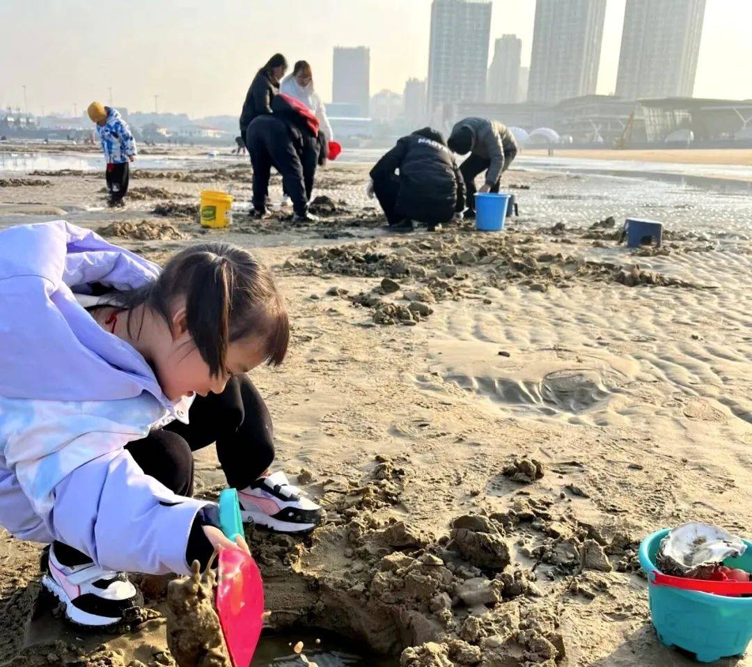 赶海拾贝乐趣多尽享春日好时光