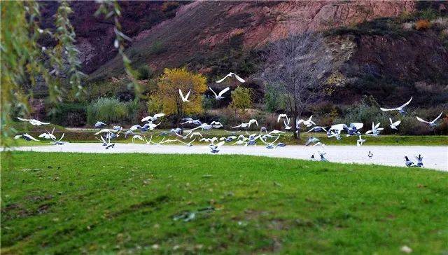 平凉市推出18条乡村旅游线路迎接五一假日