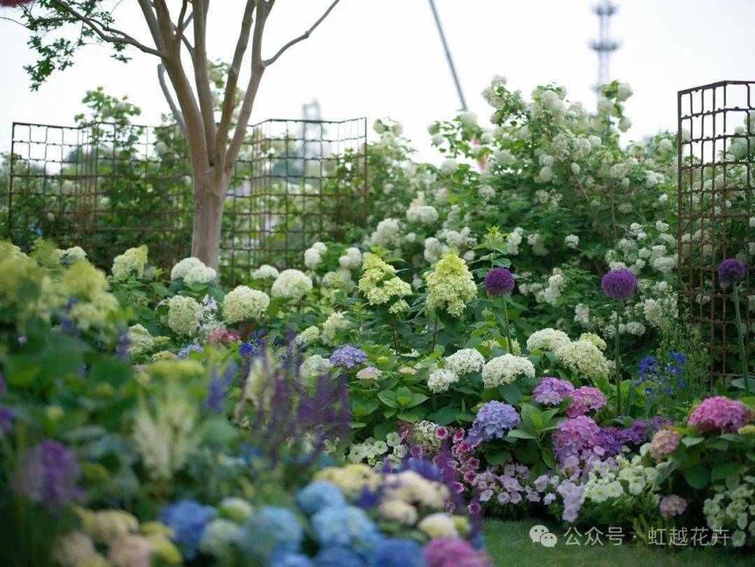 2024世界花园大会!蓄势待开,和而不同_海宁_国际_植物