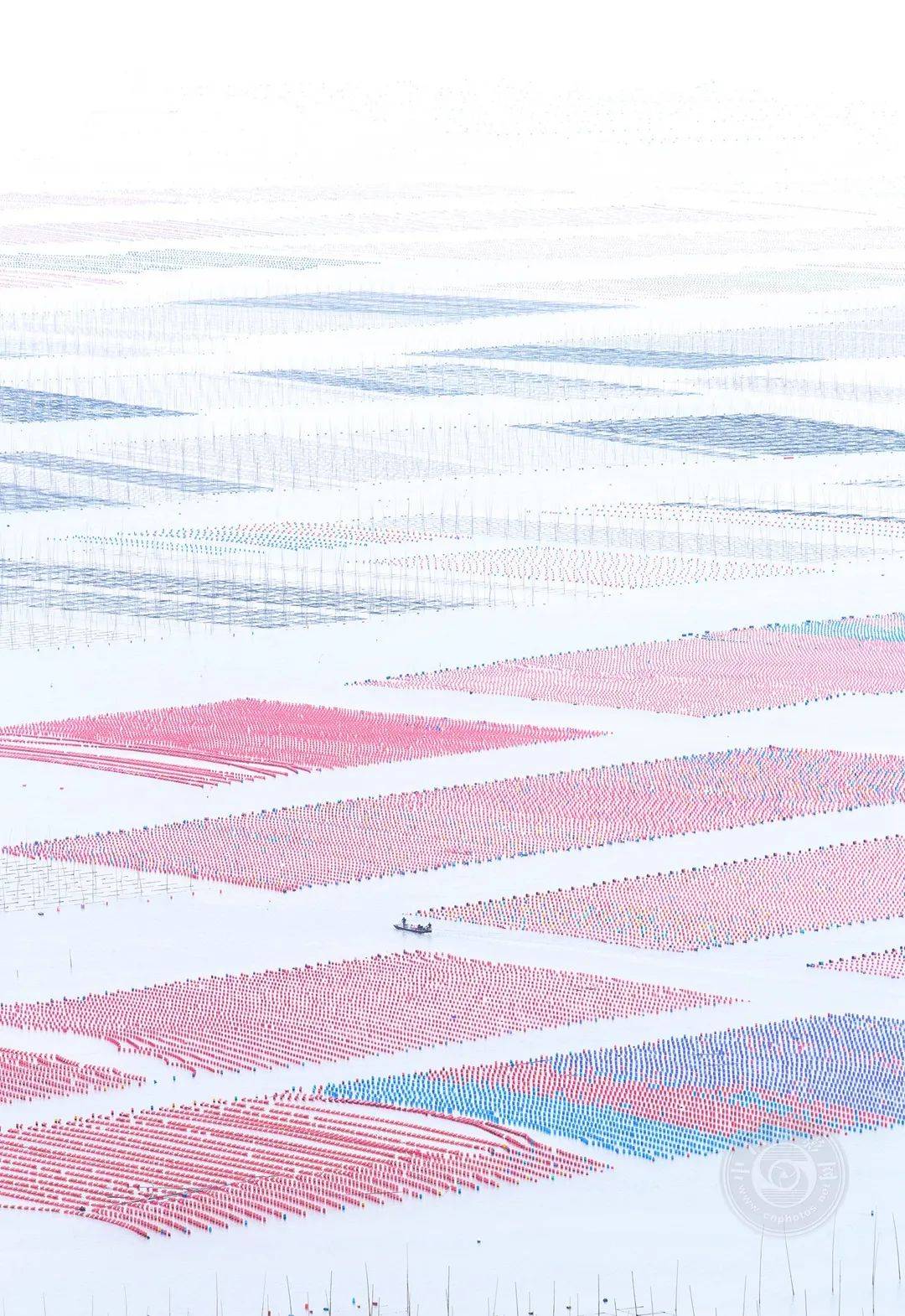 08 sonja ivancsics(奥地利)▲ 08 sonia de wit(比利时)