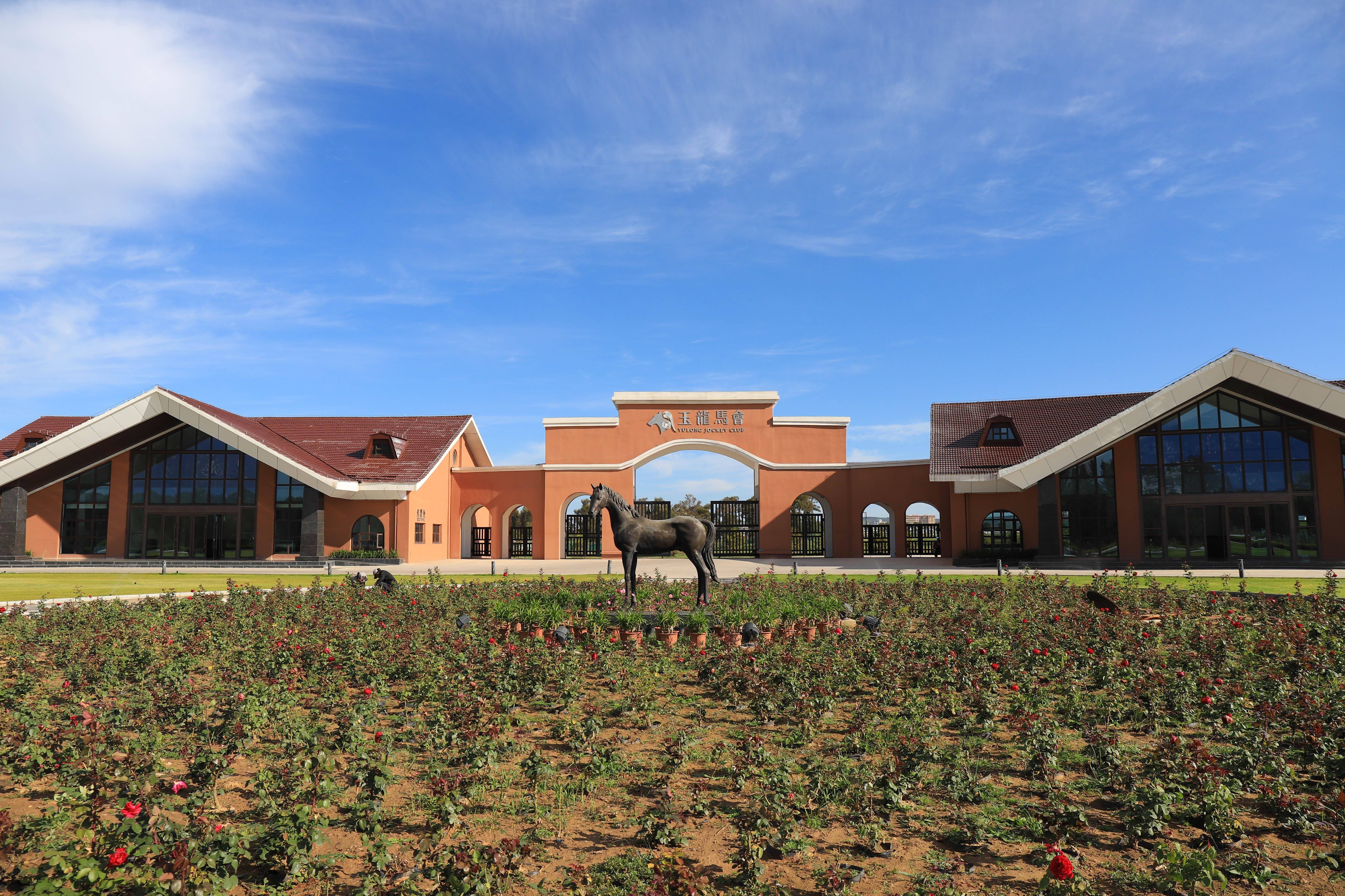 张月胜成人之美吴海威花300万元购入7匹马驹