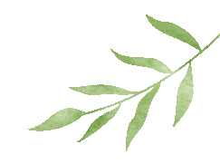 朗读者:张仁宣老师唐三彩的故事