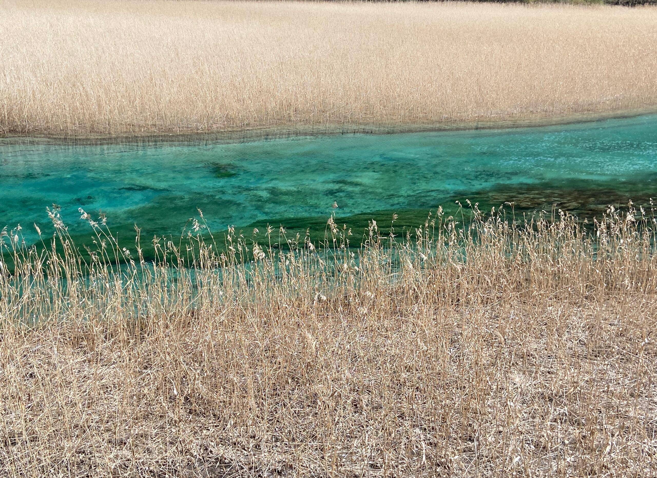 关于吃住行保姆级攻略四川旅游攻略冬季自驾路线