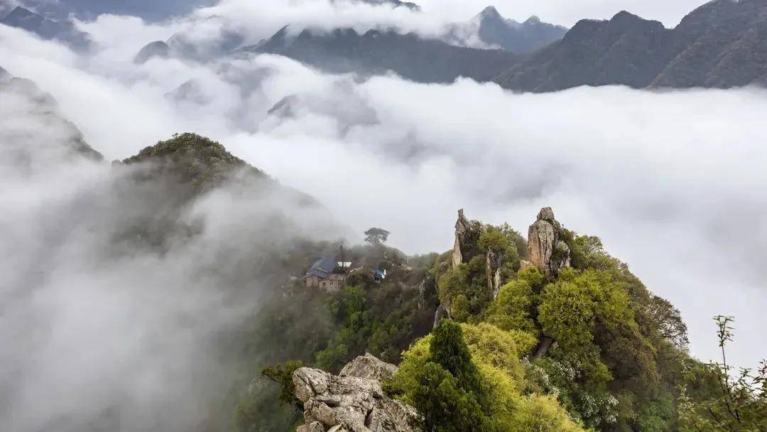 秦岭植物园.西安城市观光车.朱雀.太平.楼观等二十多景_景区_终