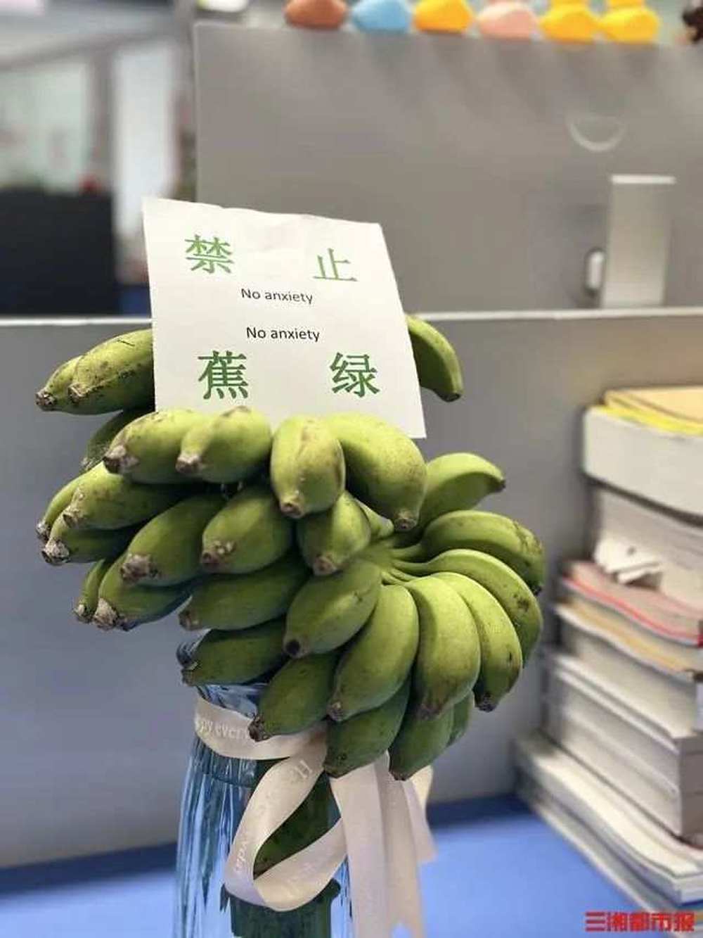 禁止蕉绿