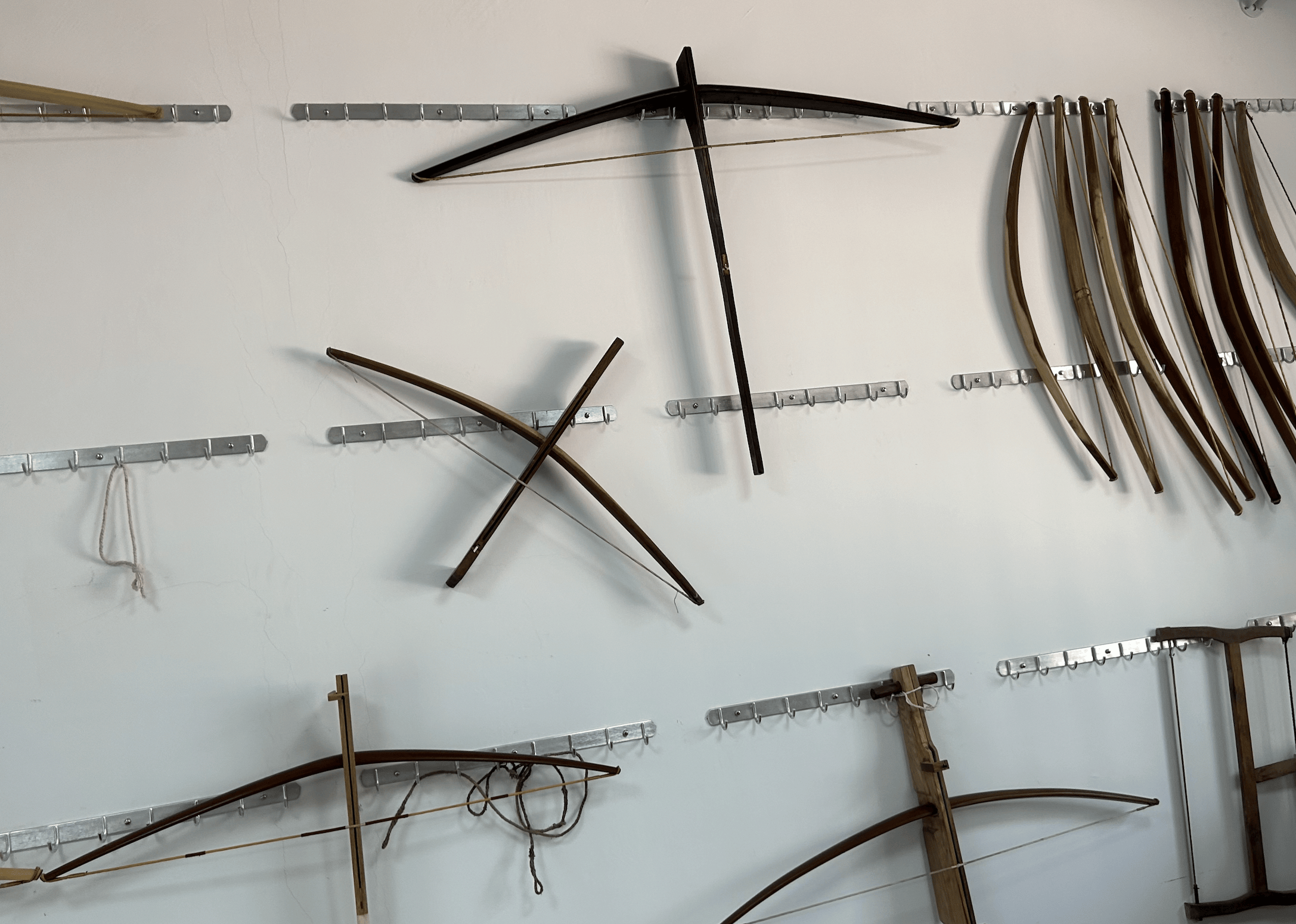 追光 | 罕见的三箭追尾!这项千年运动"射"进校园