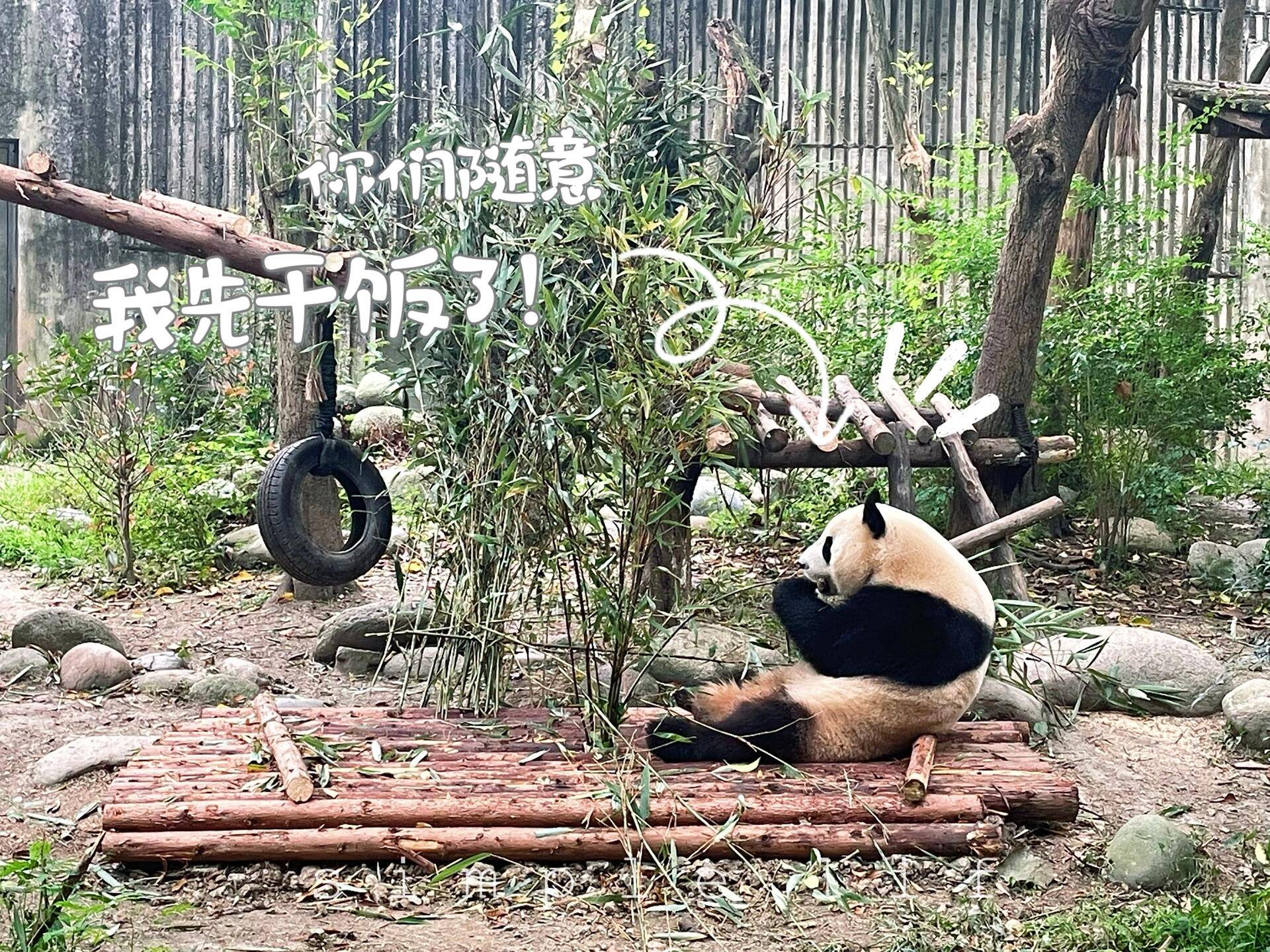 仙女落泪超详细暑假去四川旅游路线攻略