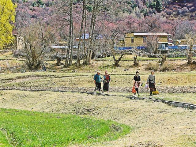 那曲市嘉黎县尼屋乡藏北最早的春天
