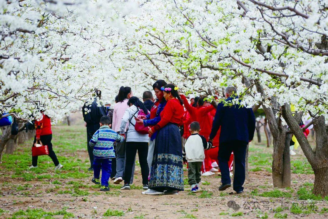 榆次区东赵乡搭建交流平台推动融合发展探索振兴之路