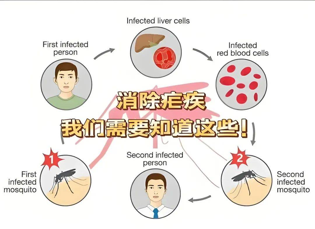 426全国疟疾日防止疟疾再传播持续巩固消除成果