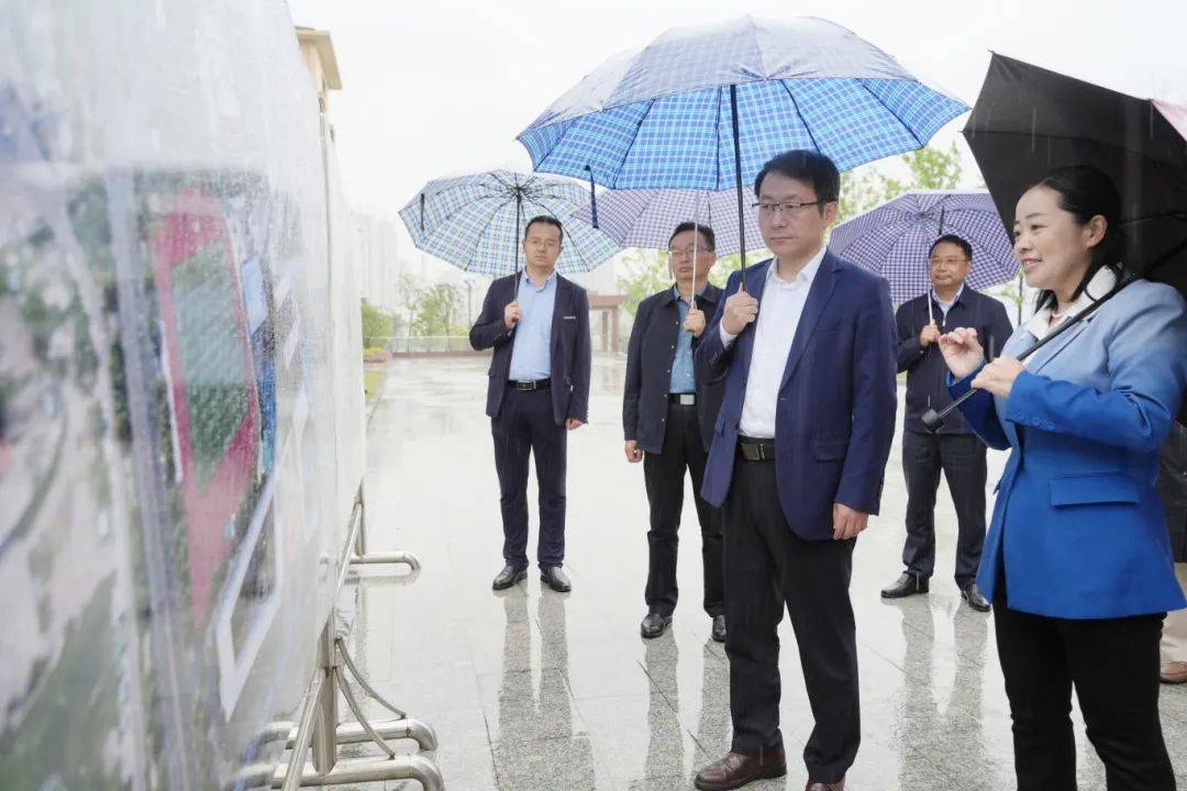 陈伟调研教育工作