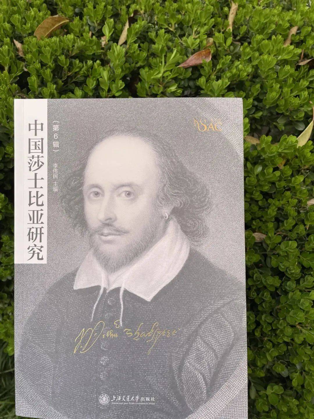 好书新书莎士比亚世界文学史上一座难以征服的高峰