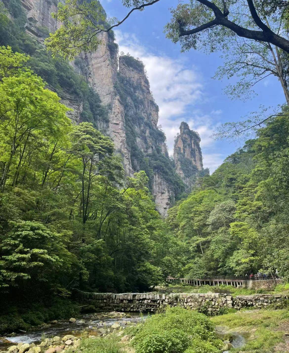 张家界旅游攻略温度打卡全过程干货