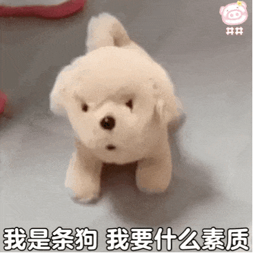 小姐姐你表情包