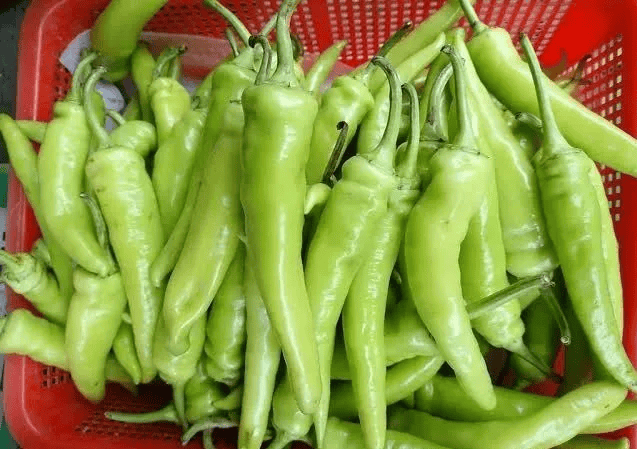 中国医学科学院新发现常吃这种食物的人寿命或更长心脏病风险也低了