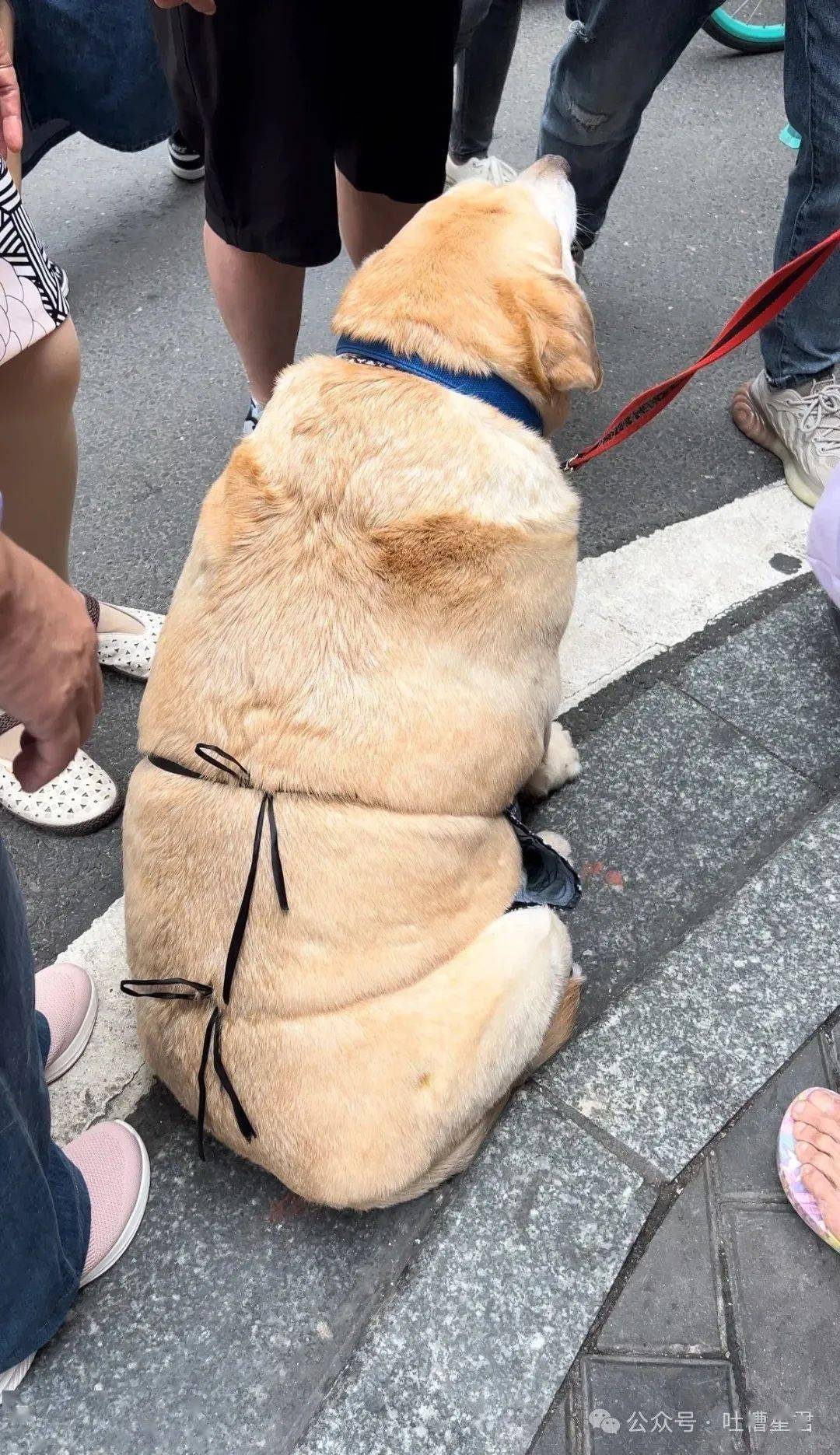 每日一笑相亲对象不满我背包挂件太性感结果啊啊赶紧申请火星移民吧