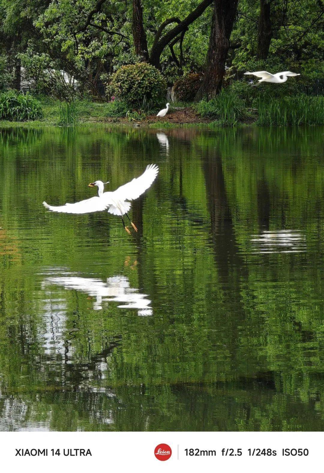 烟黛色图片