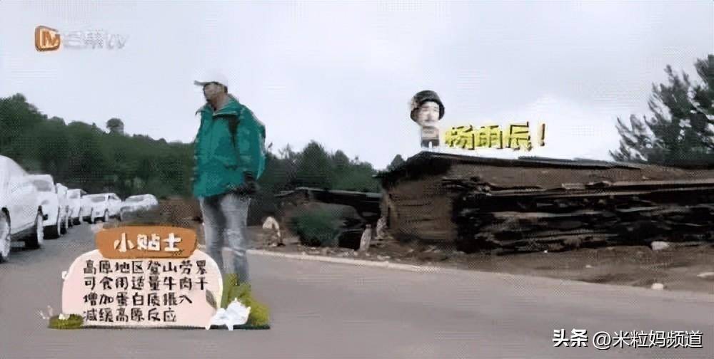 40岁王珞丹跟亲妈吵上热搜：母盼成家，女盼自由