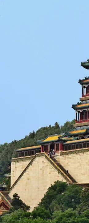 世界读书日〡最美人间四"阅"天,中旅书香润心田