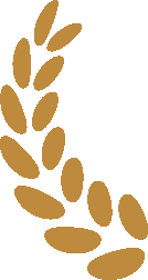 晚安河西学院 | 拾忆