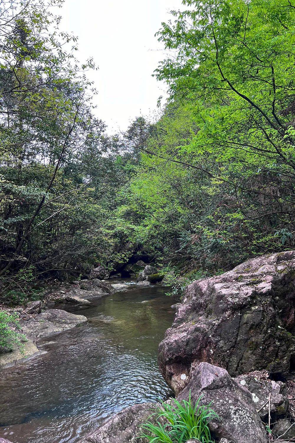 秘境四窗岩,竟是四明山的由来
