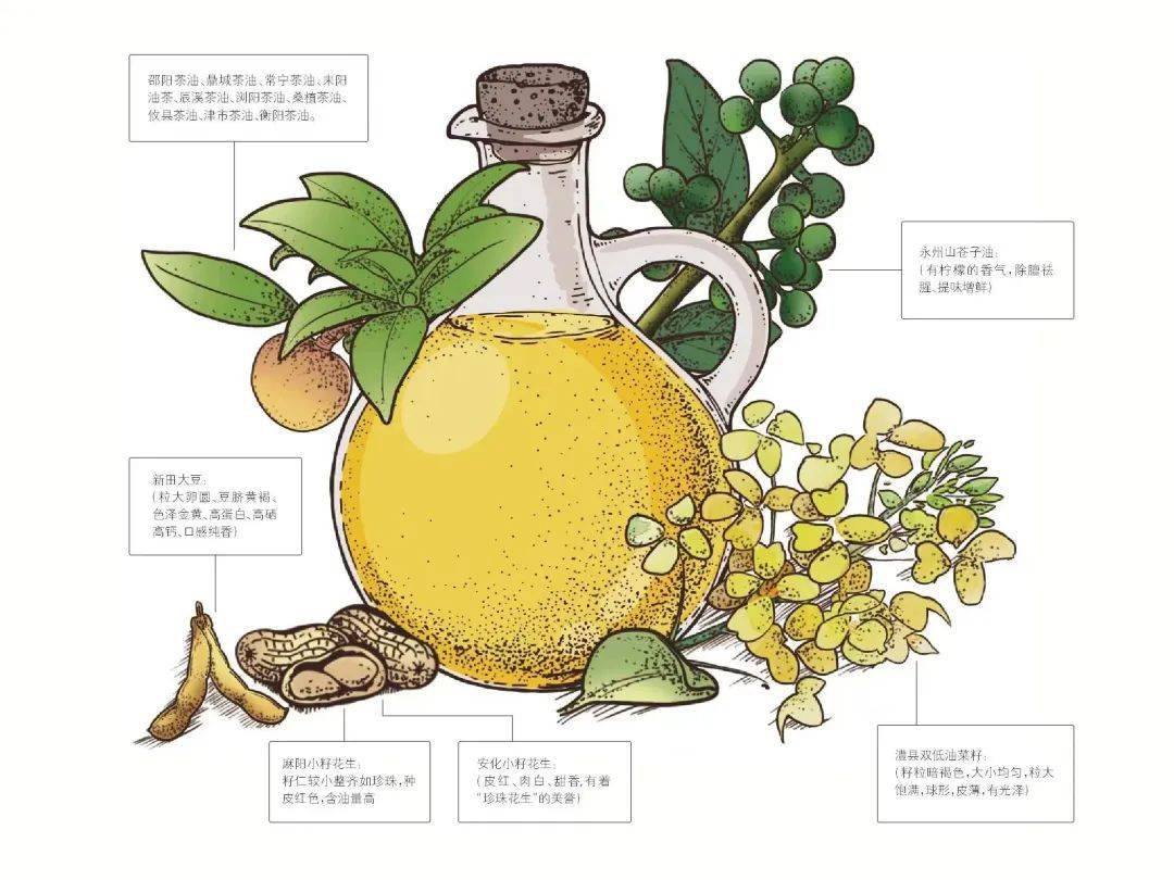 湖南有多辣,就有多"油"