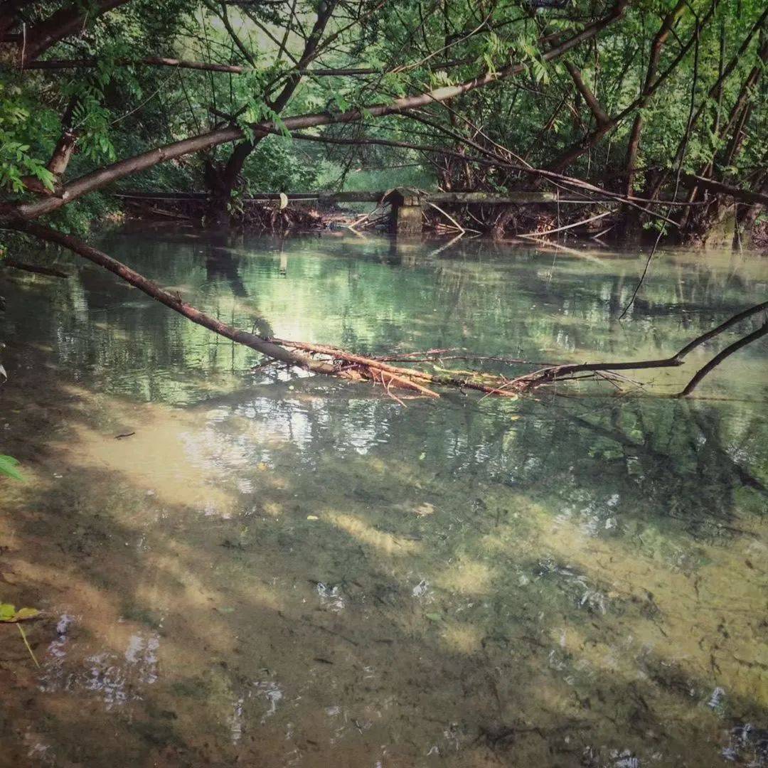 湖州味道|石斗山摩崖题刻小记