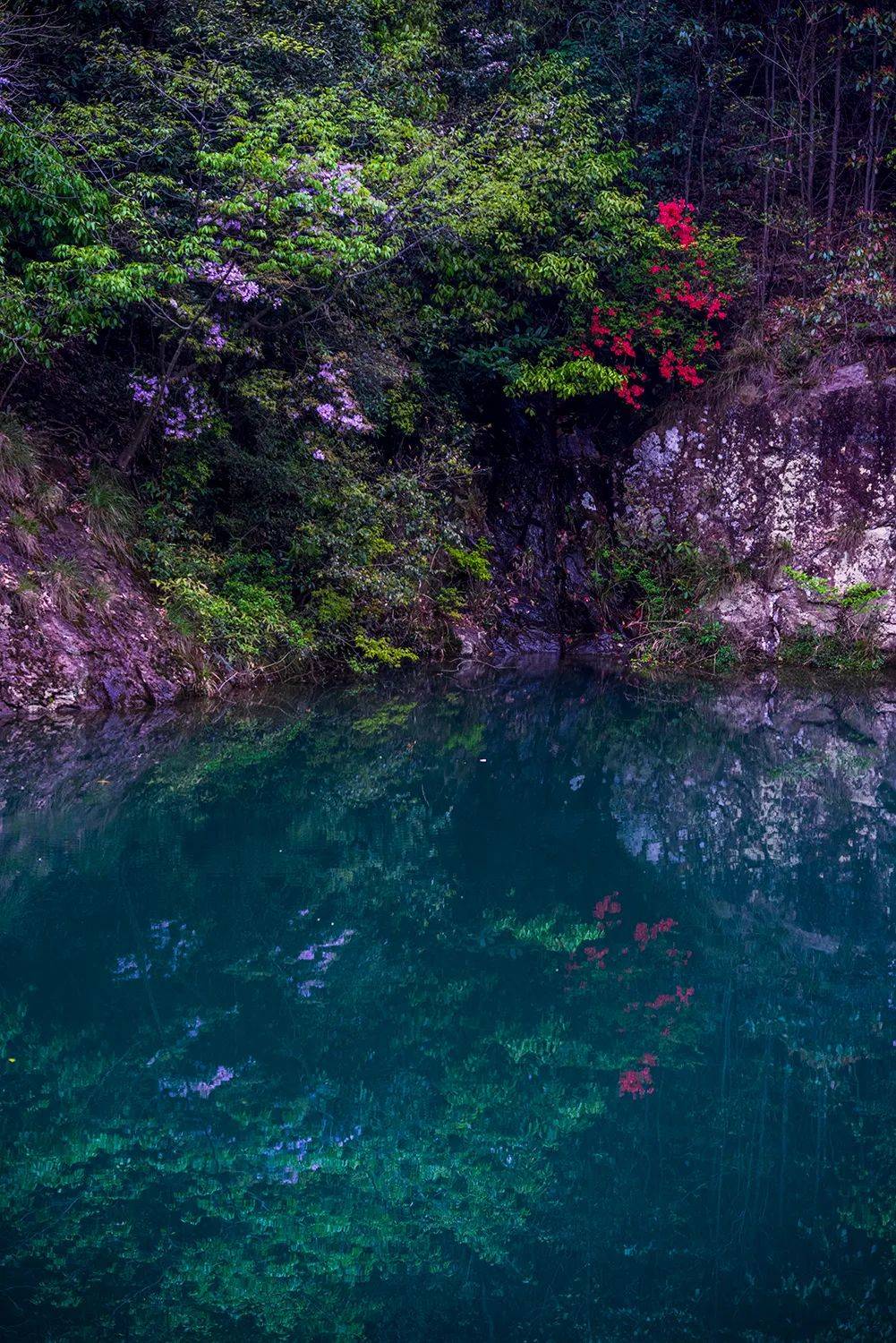 秘境四窗岩,竟是四明山的由来