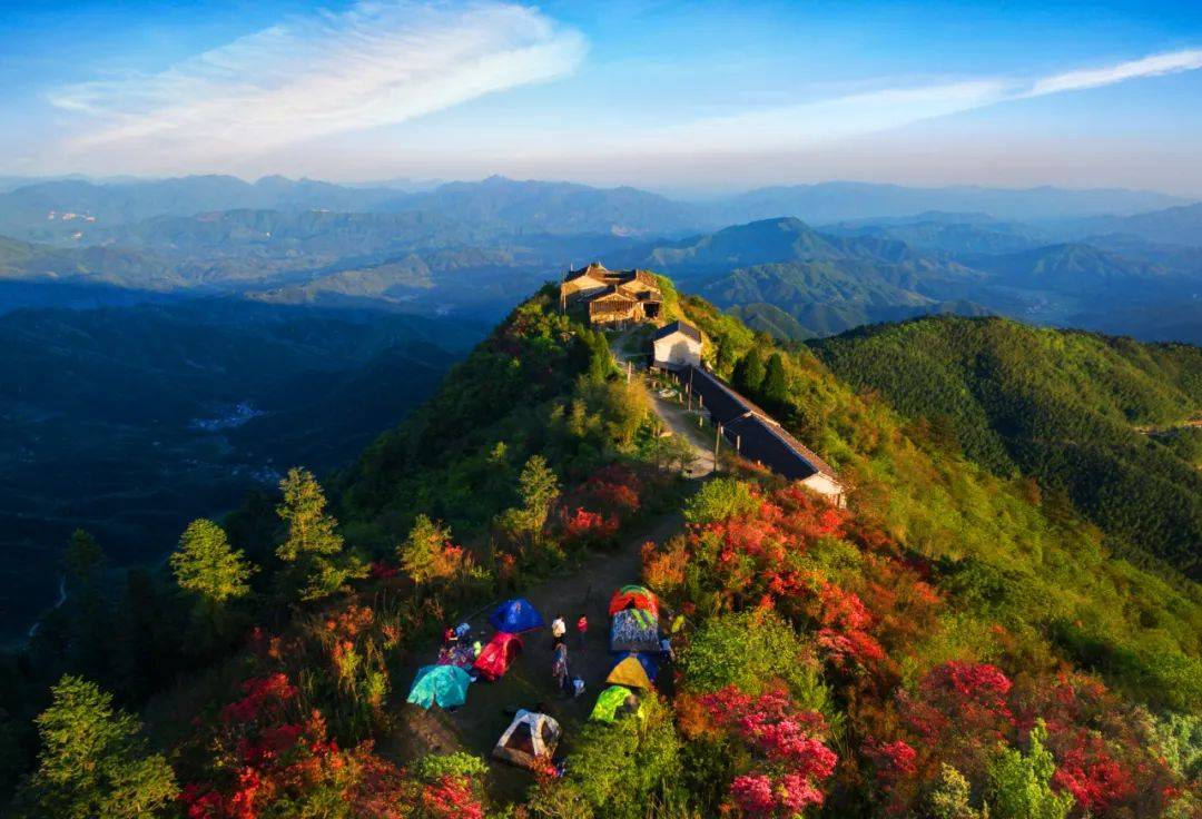 【花】| 花韵动旅,美丽松溪