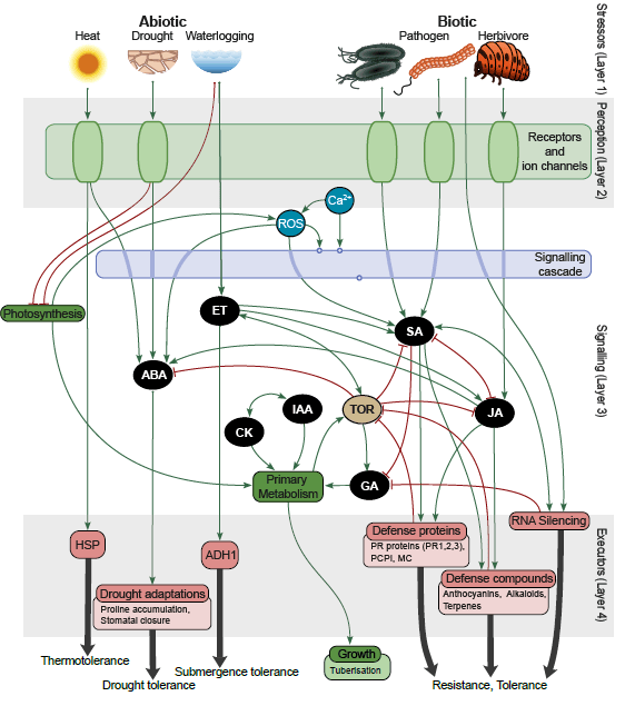 kristina gruden团队发布植物胁迫响应的知识图谱