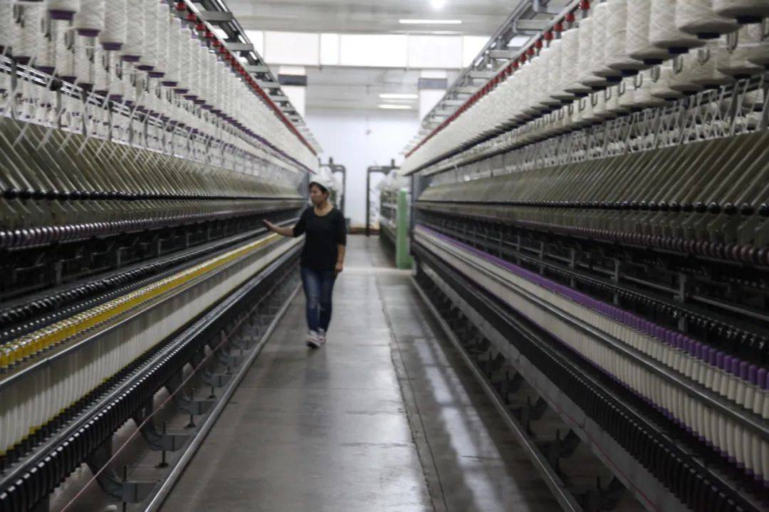 品牌的力量|清河羊绒:品牌塑造,让"软黄金"变真金