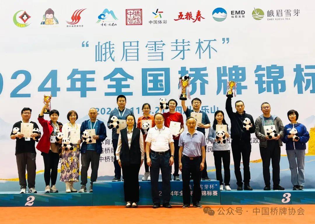 博思软件队全锦赛混团夺冠