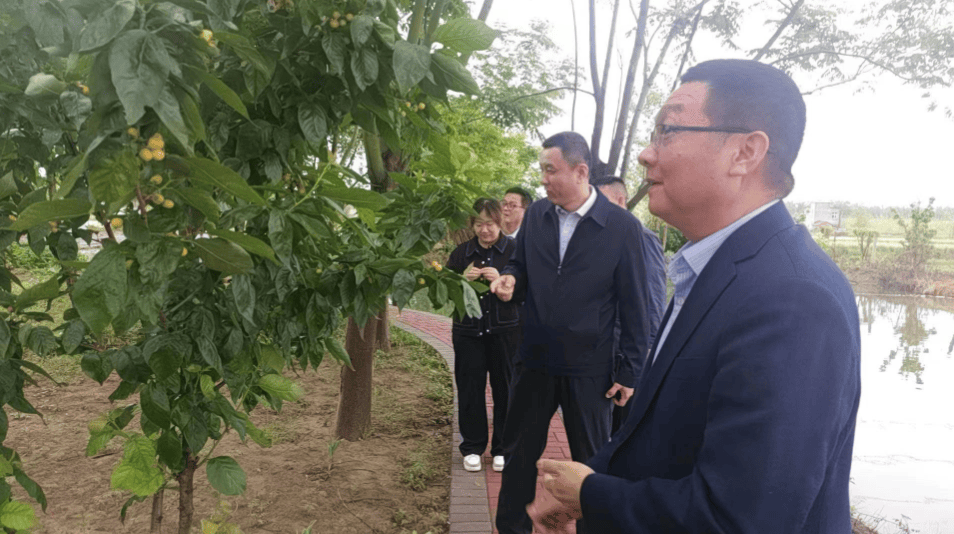 看!一群博士硕士在仙桃下田