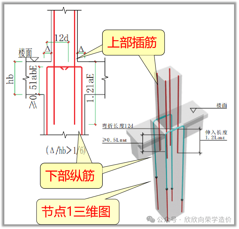 柱截面配筋图怎么画图片