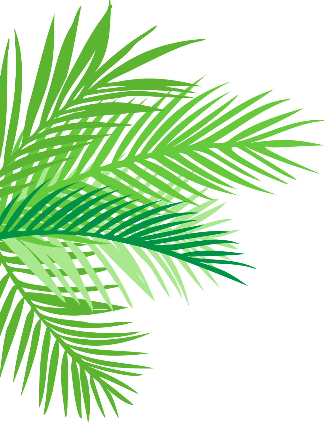 亲爱的孩子,欢迎你到地球来